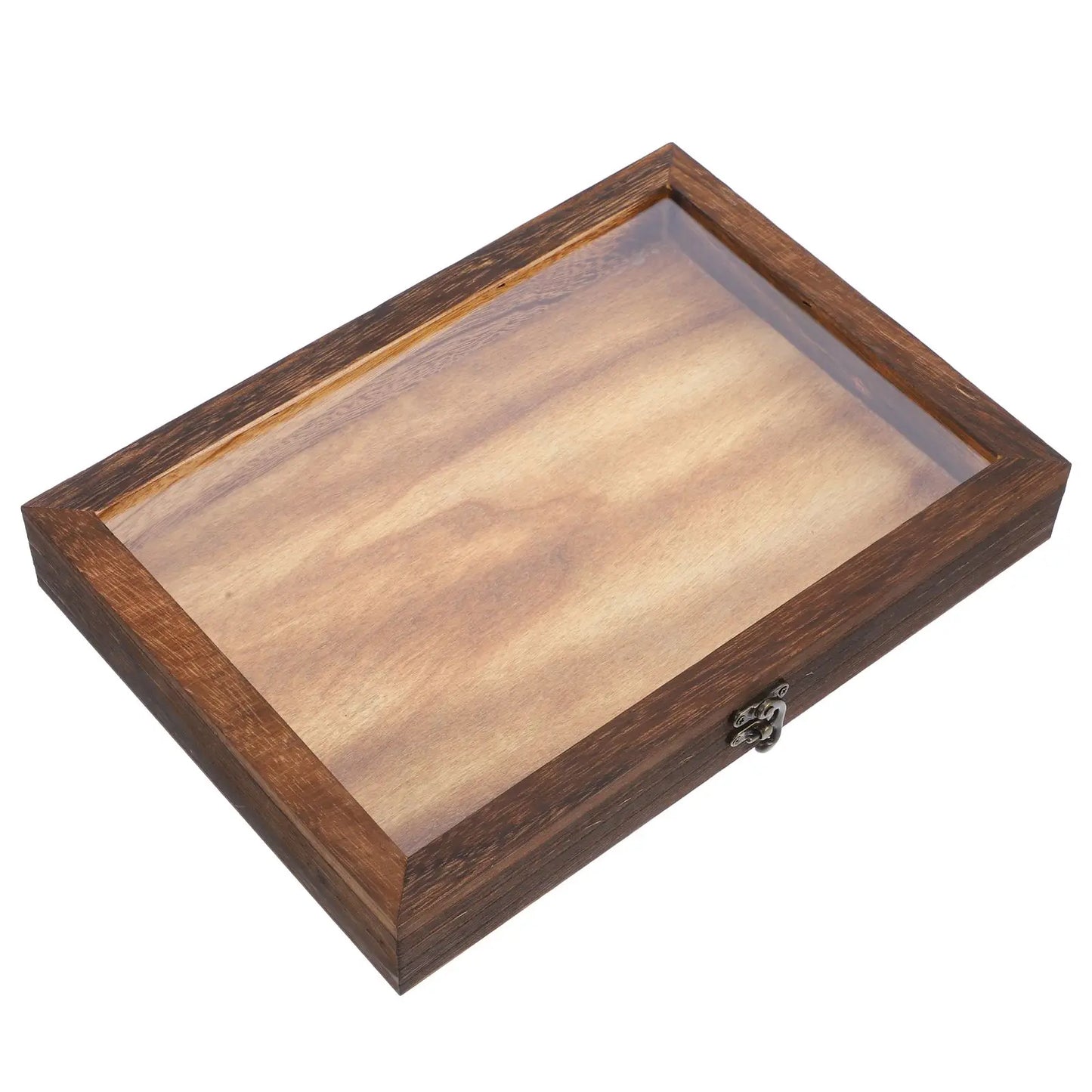 Specimen Display Case