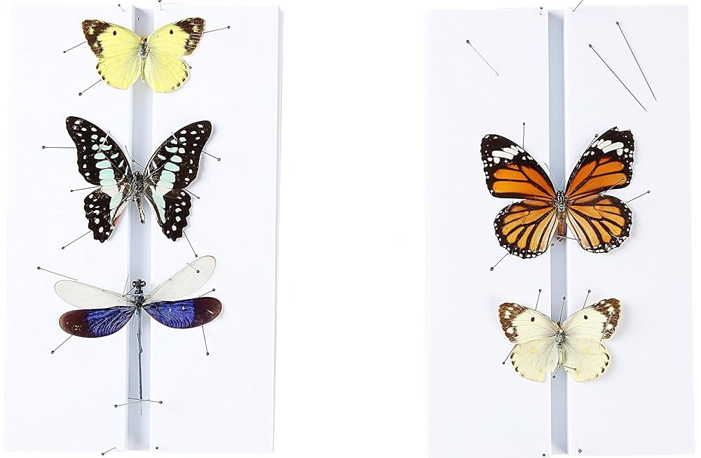 Stainless Steel Insect Pins