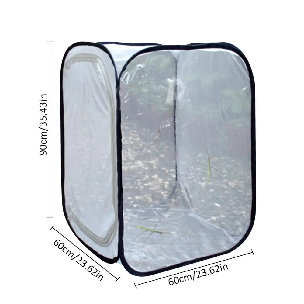 Insect rearing set-ups