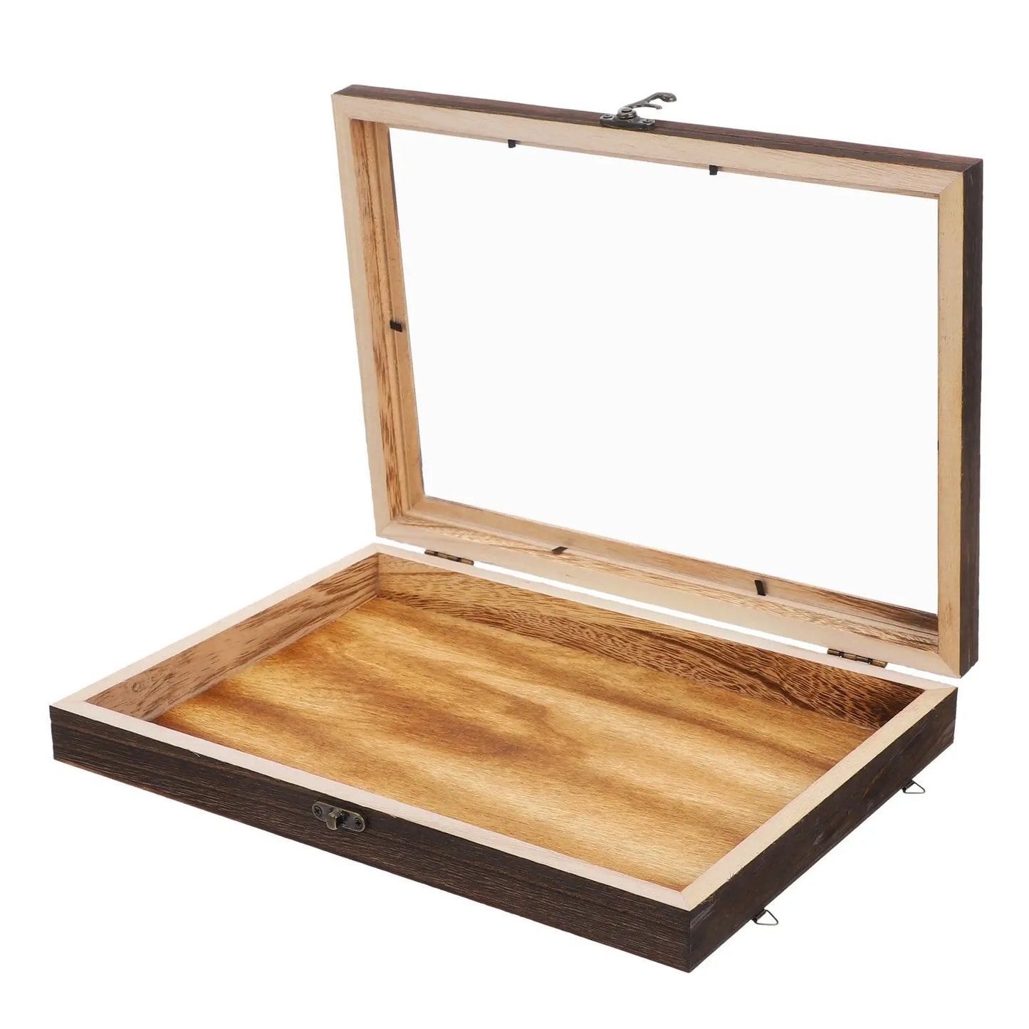 Specimen Display Case