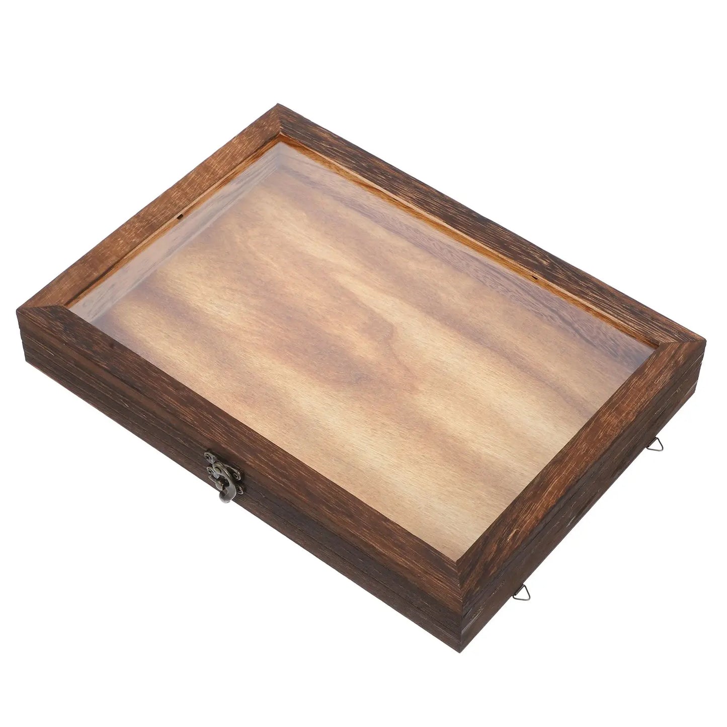 Specimen Display Case