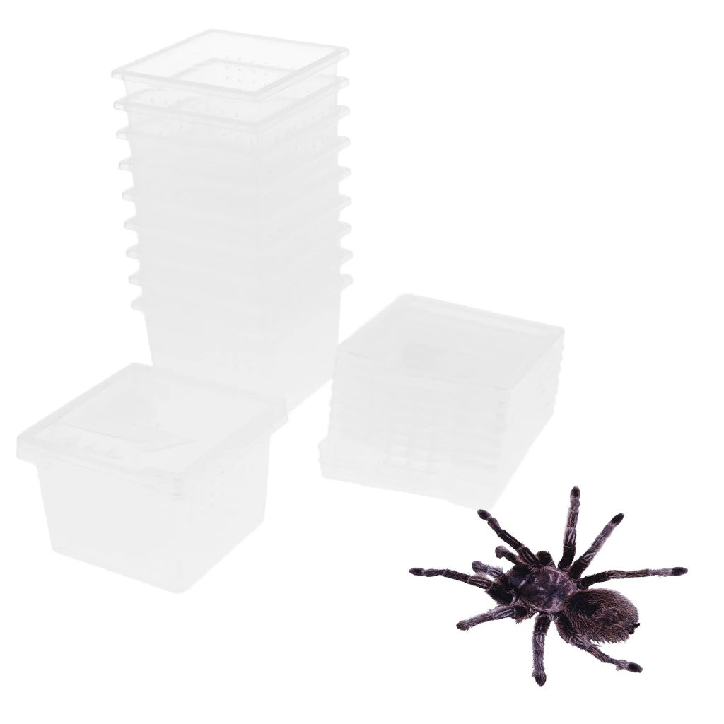 Insect transport terrarium - Set of 10