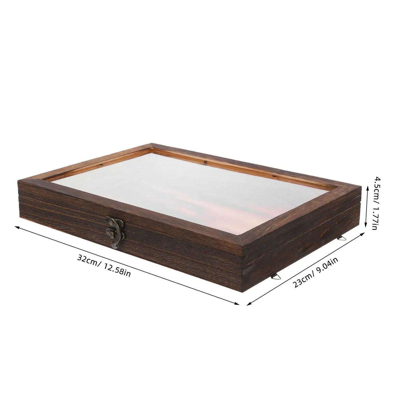 Specimen Display Case